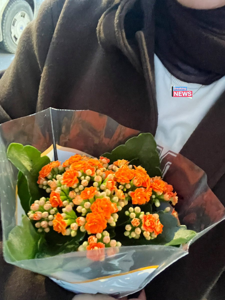 saksıda yeşerteceğim ilk çiçeğim…🧡