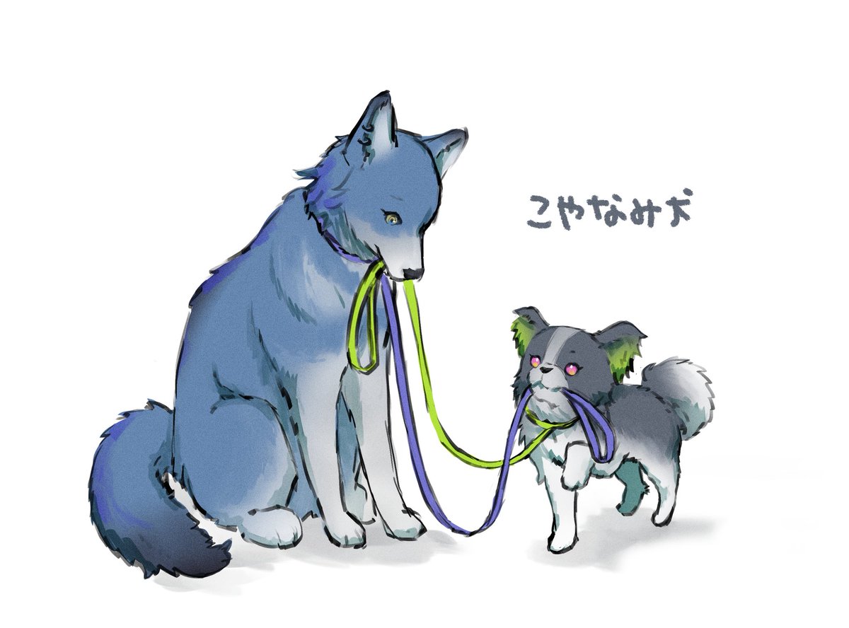 pan_0917's tweet photo. こやなみ犬 https://t.co/x6DJjGXF59