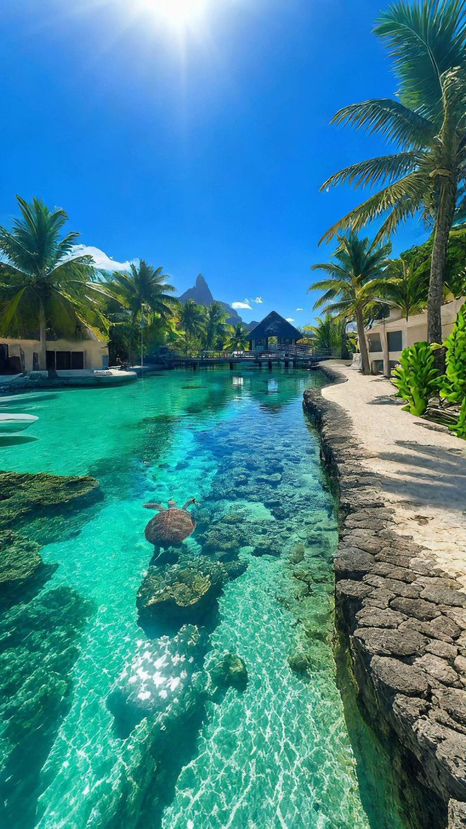 naturebeauty760's tweet photo. Maldives ⛱️ https://t.co/INJ9dA1s6h