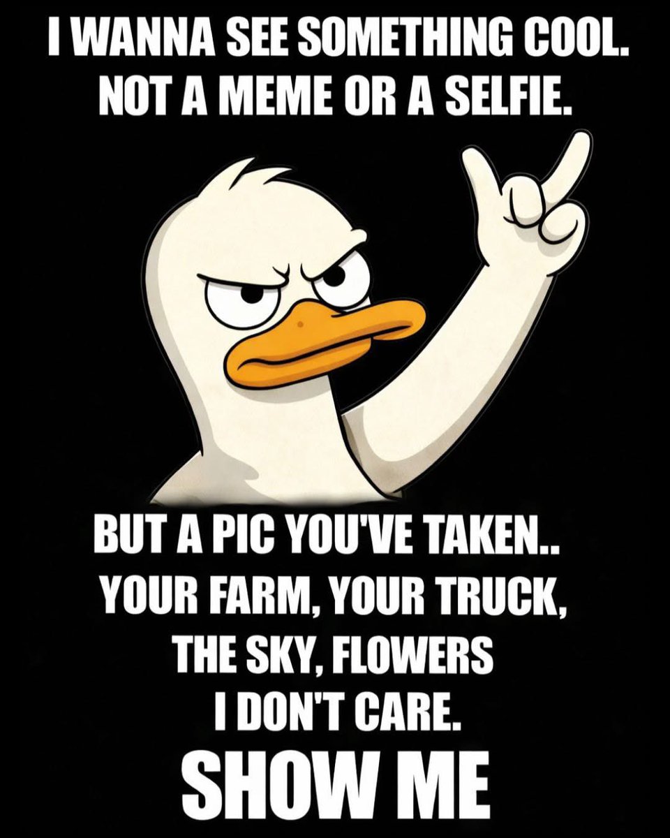 Gina💄🇺🇸 tweet media