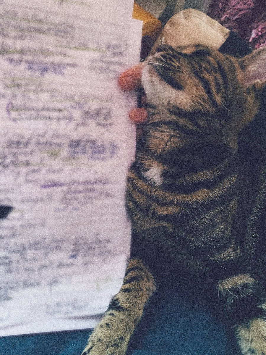 logic_essential's tweet photo. Mitzy’s loving the new songs… 🎶 🐈‍⬛ 
.
#newmusic #scribe #happyplace #comingsoon #essentiallogic https://t.co/hUKnAZDdmD