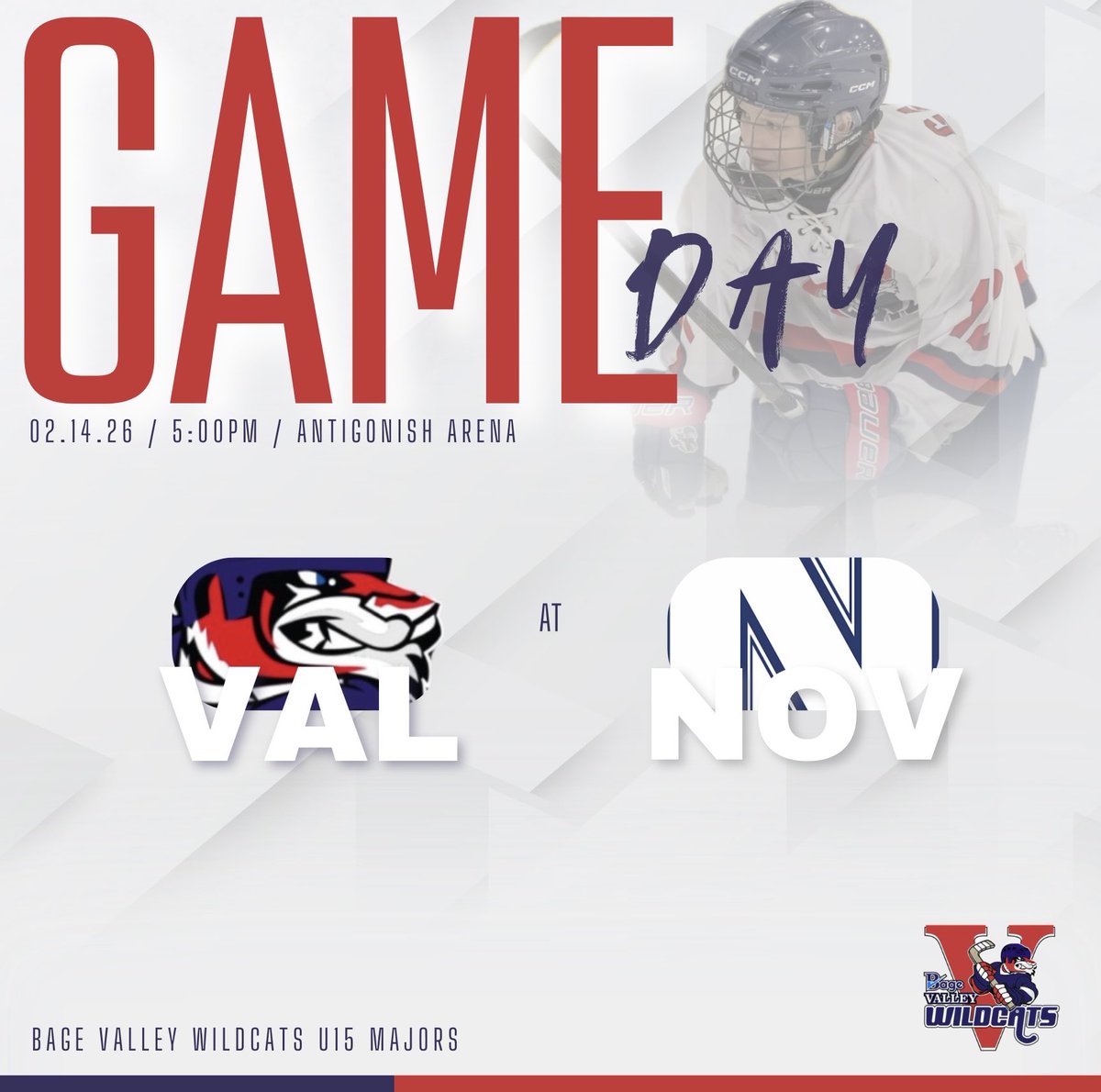 Valley Wildcats U15 Majors tweet media