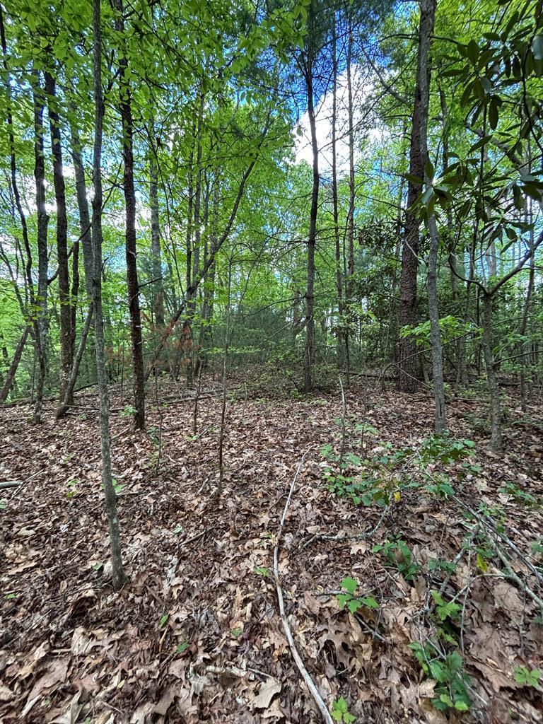 AChrisley's tweet photo. Hannah Mountain Rd, Otto, NC, 28763
0 bed | 
Active | 320000
https://t.co/cTNwAYqts5
Escape to your own private mountain retreat on this stunning 24.5 acre property. With top of the mountain views, this secluded parcel is located at the end of a quiet road, offering the... https://t.co/tOmrHdJ4yI