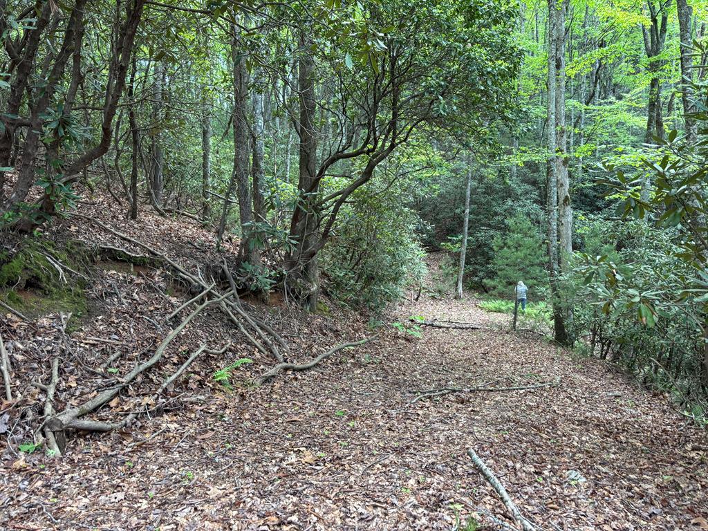 AChrisley's tweet photo. Hannah Mountain Rd, Otto, NC, 28763
0 bed | 
Active | 320000
https://t.co/cTNwAYqts5
Escape to your own private mountain retreat on this stunning 24.5 acre property. With top of the mountain views, this secluded parcel is located at the end of a quiet road, offering the... https://t.co/tOmrHdJ4yI