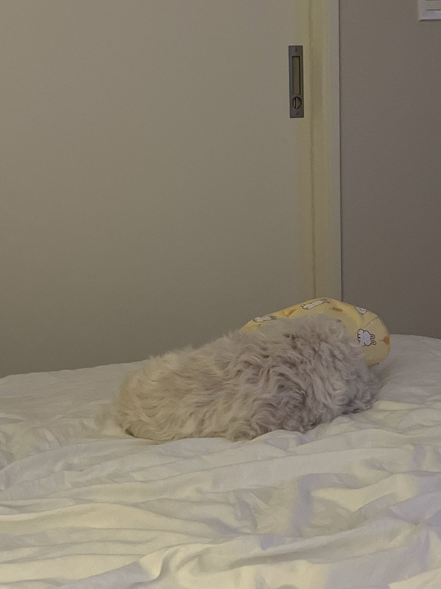 채소 어케… 령이 우짜냐