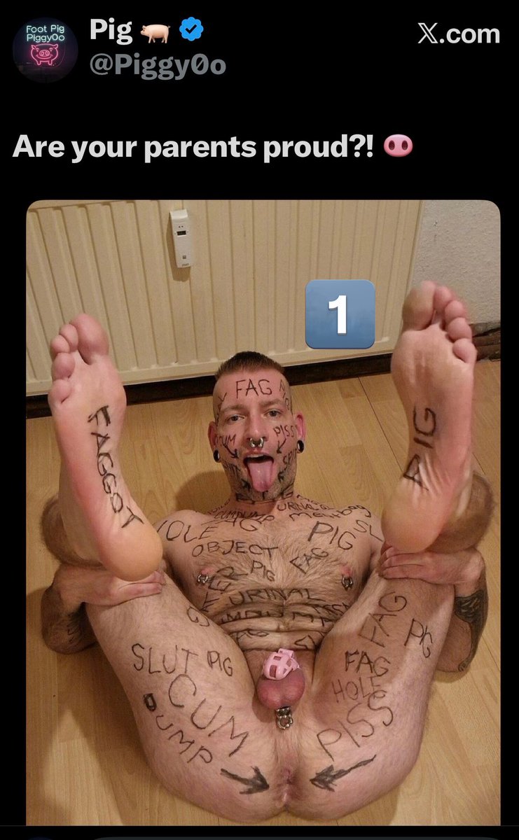 Pig 🐖 tweet media