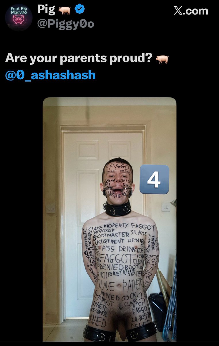 Pig 🐖 tweet media