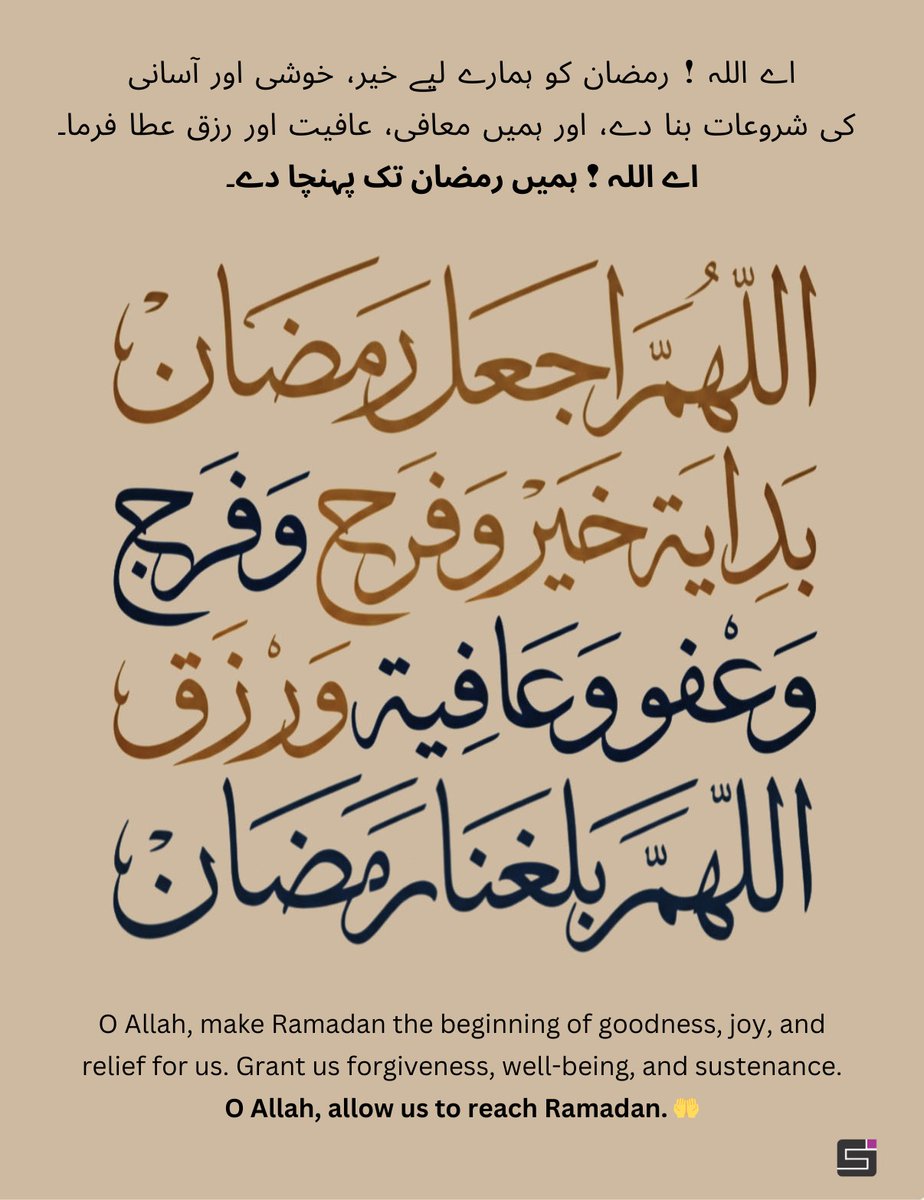 mspervez's tweet photo. السلام عليكم ورحمة الله وبركاته 🌴 https://t.co/8THTGFKMST