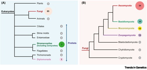 Trends in Genetics tweet media