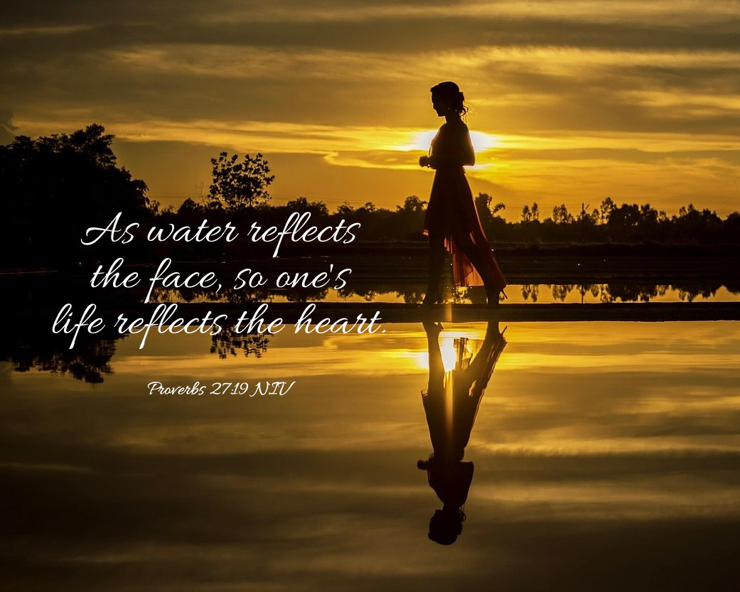 Nicole J. Eddy (@nicolejeddyblog) on Twitter photo 