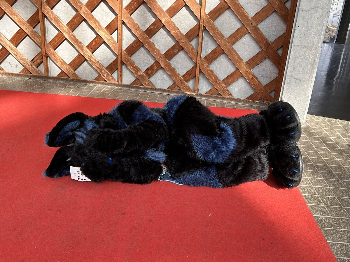 わいゆう🔜 タカグリモフ1 tweet media