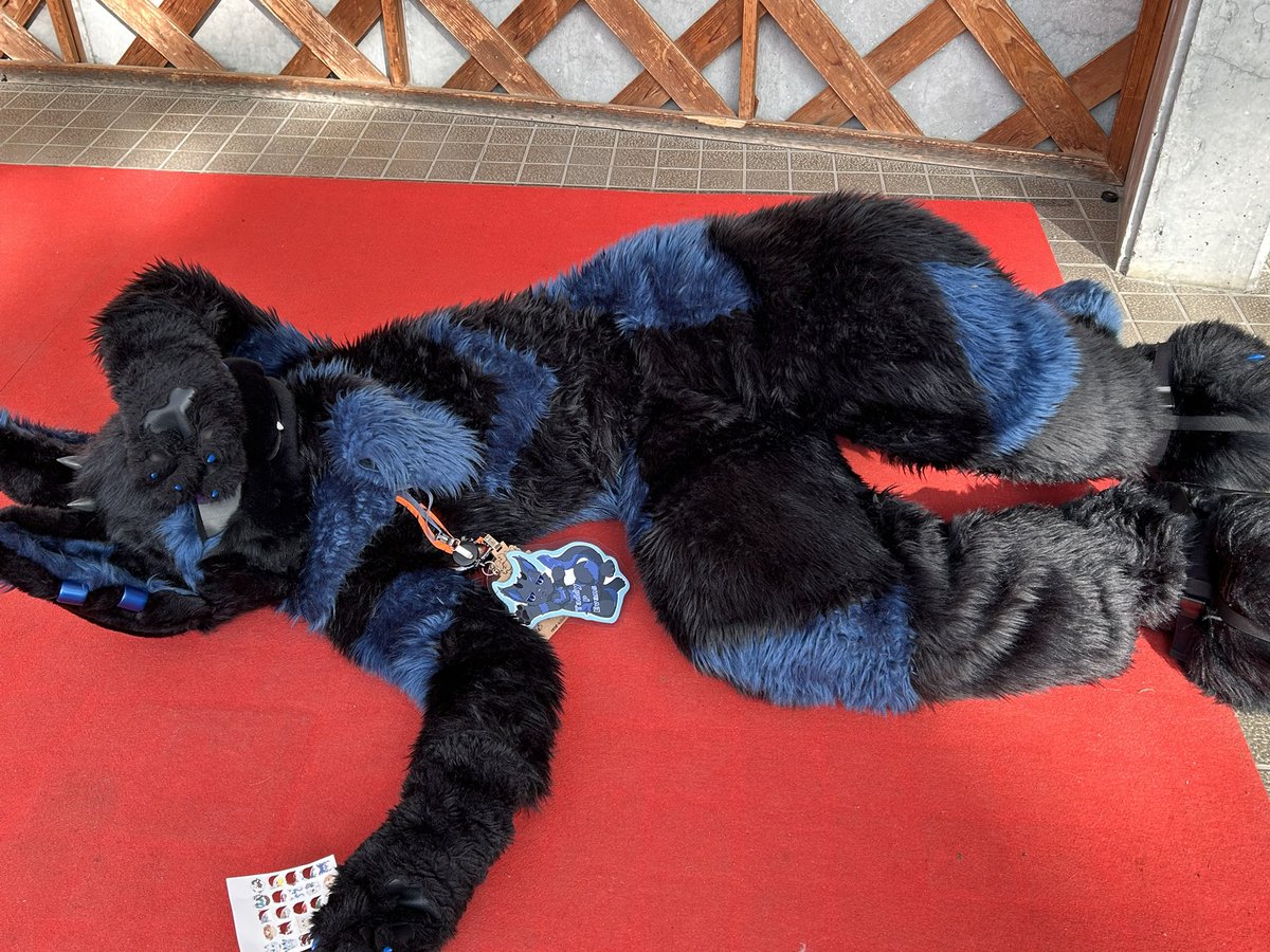 わいゆう🔜 タカグリモフ1 tweet media