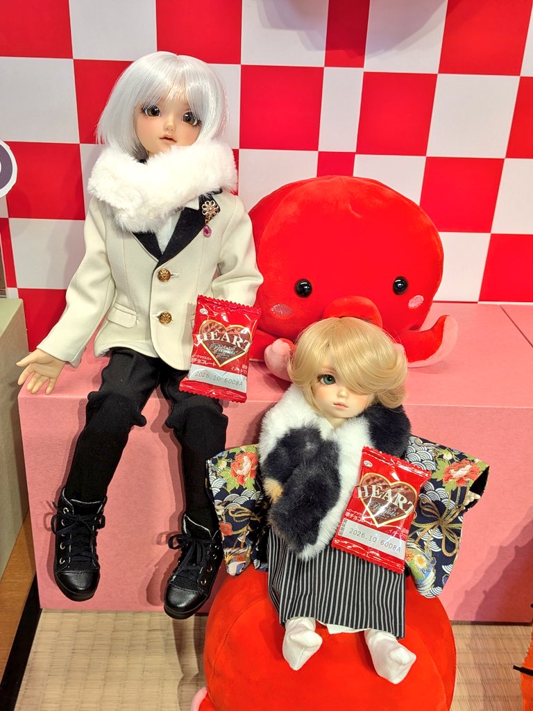 SDハッピーバースデーの撮影会には
今月初め天使の里でお迎えした
れおちゃん(SDM_f_45)
みつるくん(SD幼天使 椿)
兄弟コンビで参加しました😊
撮影会に参加されてたお姉さんにチョコもらっちゃった❤️
ありがとうございます😊
#SDハッピーバースデー 
#ドールポイント大阪