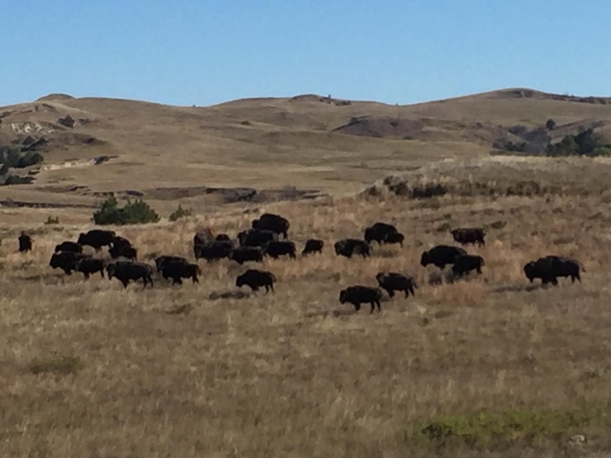 One Spirit tweet media