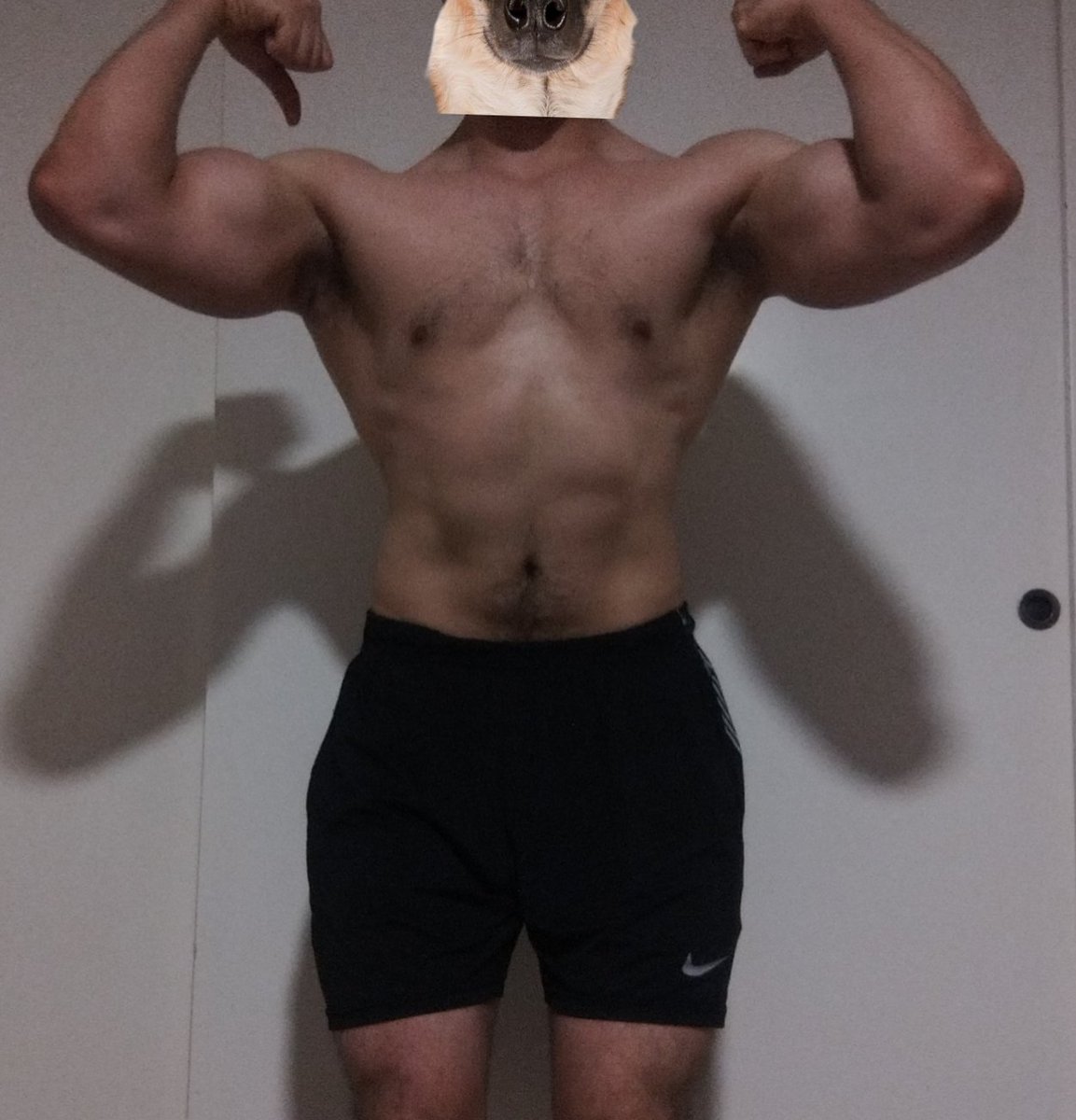 Duster551's tweet photo. Cut is over at 75kg. Injured my left bicep (tendonitis) and couldn't really train my upper body for the past month and a half. That got me feeling pretty down but I'm feeling better now both physically and mentally. https://t.co/gO8YGj2U3P