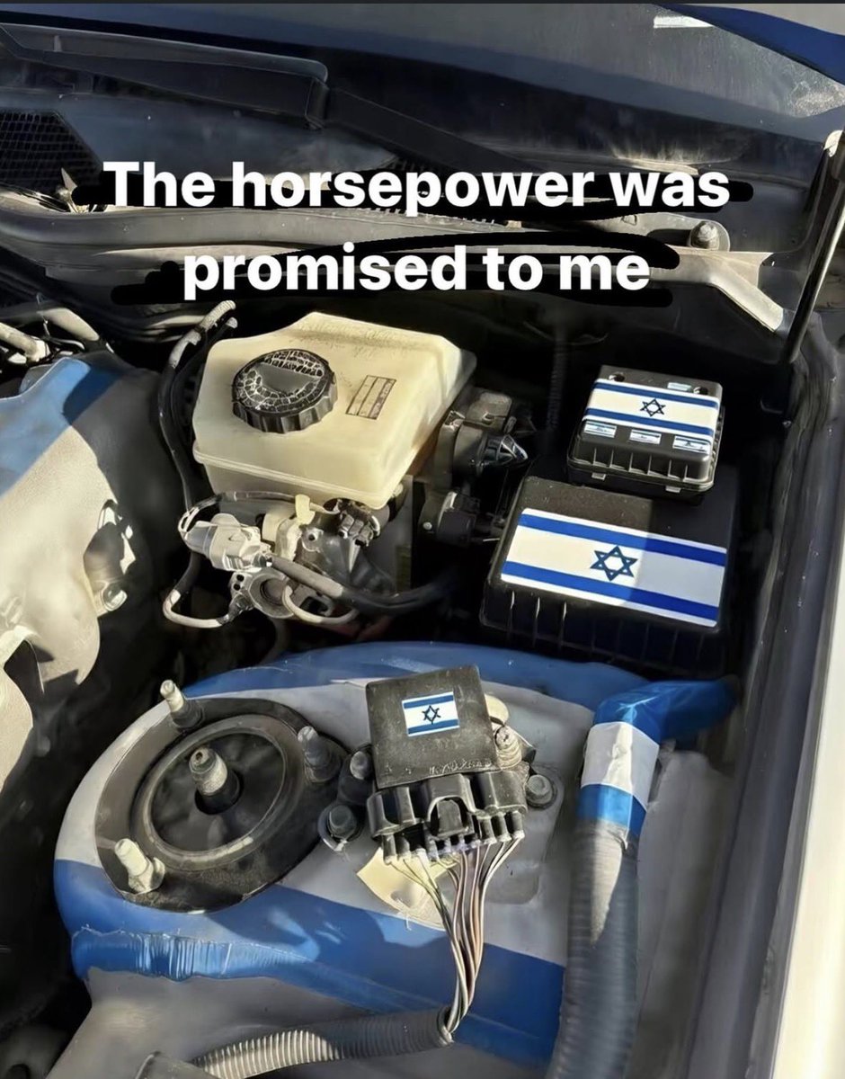 Braindead Bird App (@tragicbirdapp) on Twitter photo 