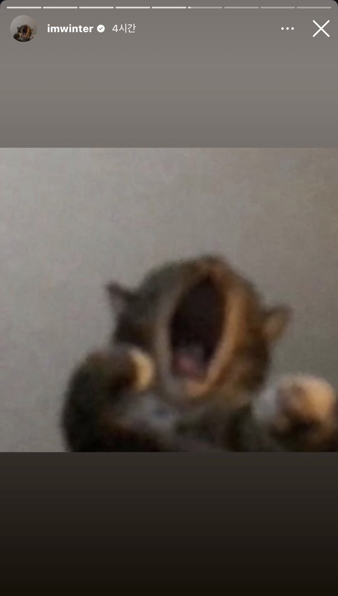 아니근데 민정이ㅋㅋㅋㅋㅋ저 고양이 사진 너무 좋아하는거 같아서 ㄴㅁ귀여움
