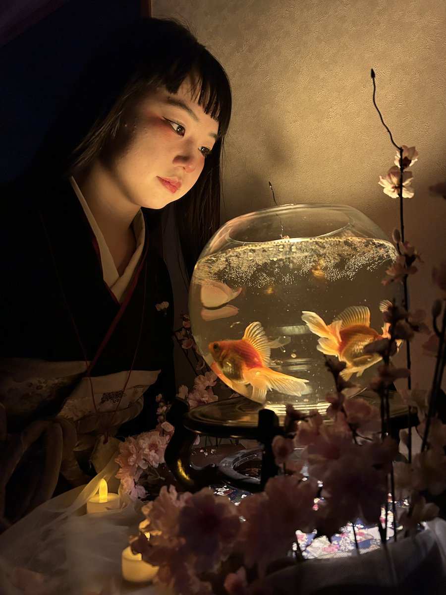 nanami_1224_'s tweet image. #AnemoiaTokyo

2/14💌🍫

本日も人形として、、
かくりよで生きられるのもあと3回です。
悔いのないように過ごします！
みなさんもぜひ追い残しないようにしてください

次回は3/22(日)💡
またお会いしましょう

#DAZZLE
#immersiveexperience