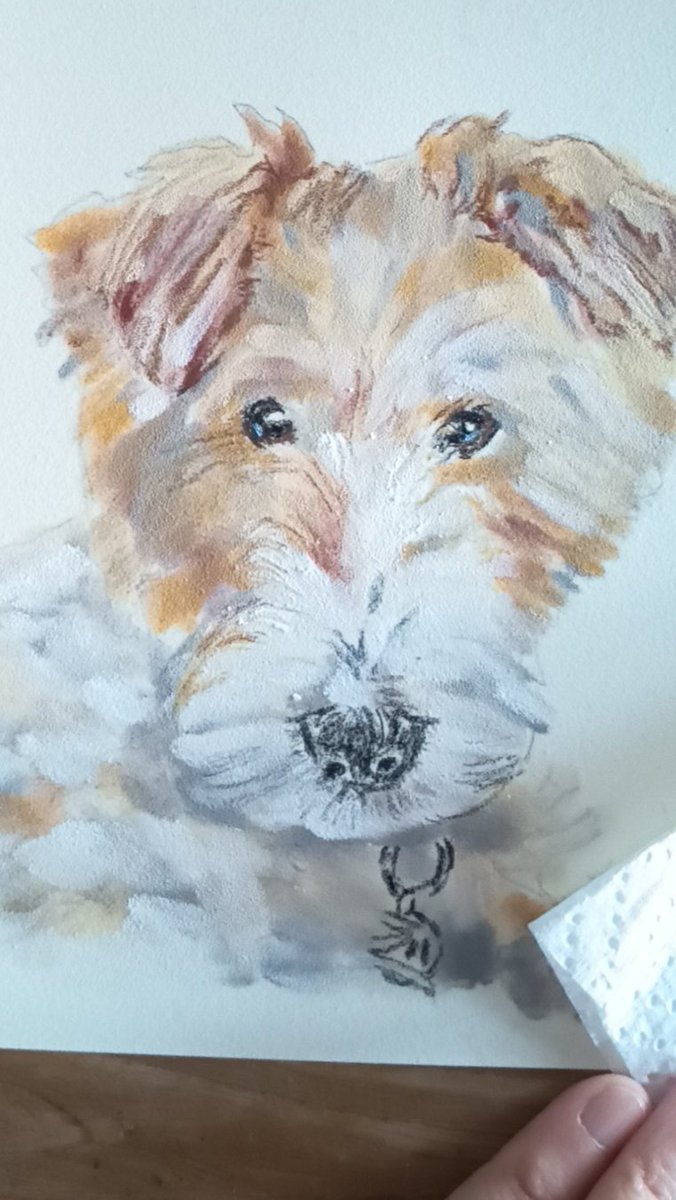 Merydrous tweet media