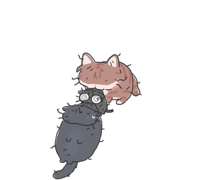 🍄‍🟫 (@uidaeg) on Twitter photo 