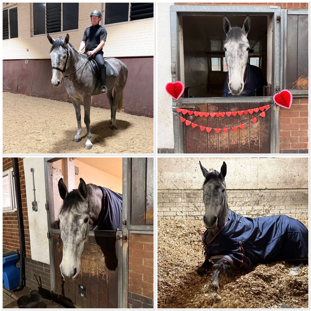 Mer Pol Mounted tweet media