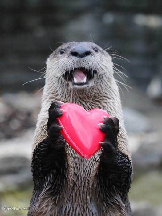 Happy Valentine's Day! 💘