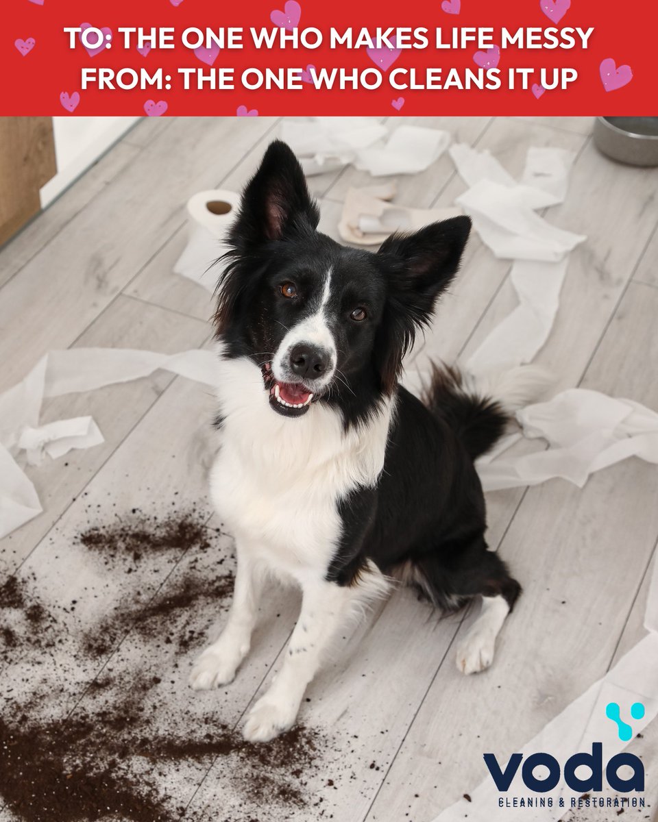 Voda Cleaning & Restoration tweet media