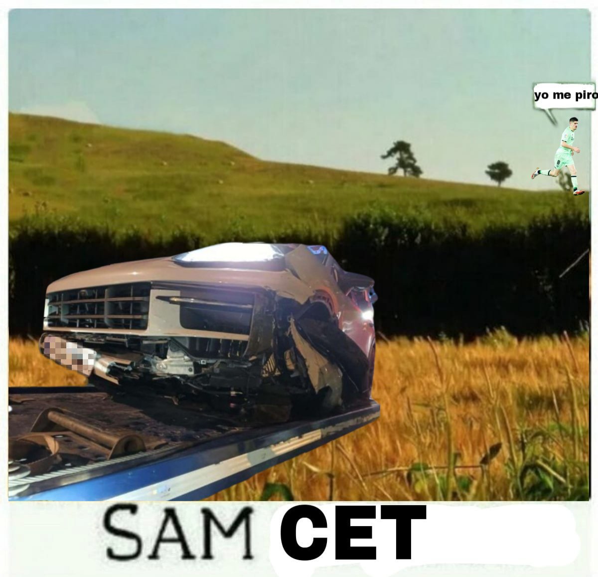 Cojon (@cojonbermeano) on Twitter photo 