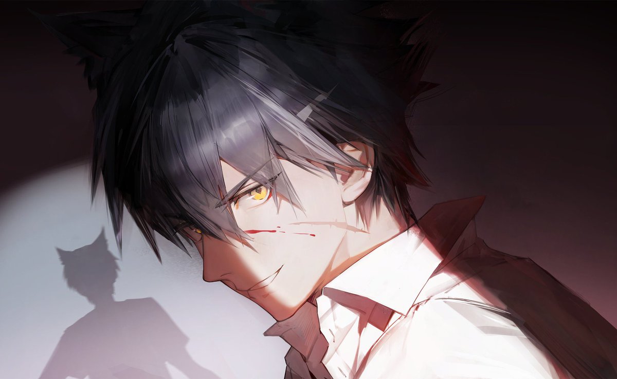 i wonder why they decided not to use these