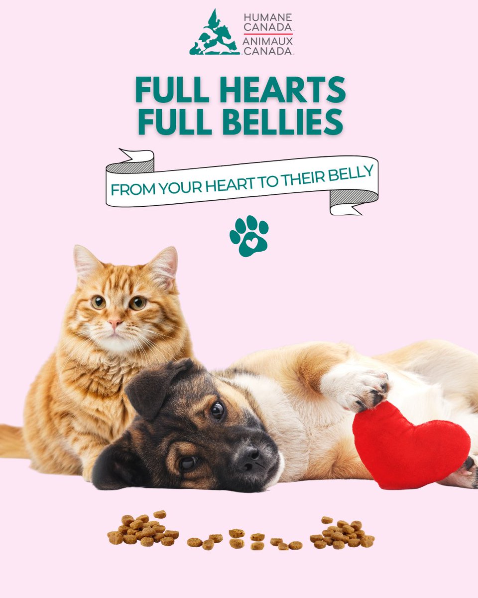 Humane Canada tweet media