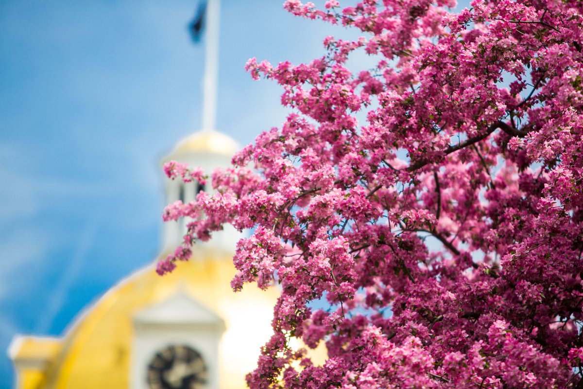 Centenary University tweet media