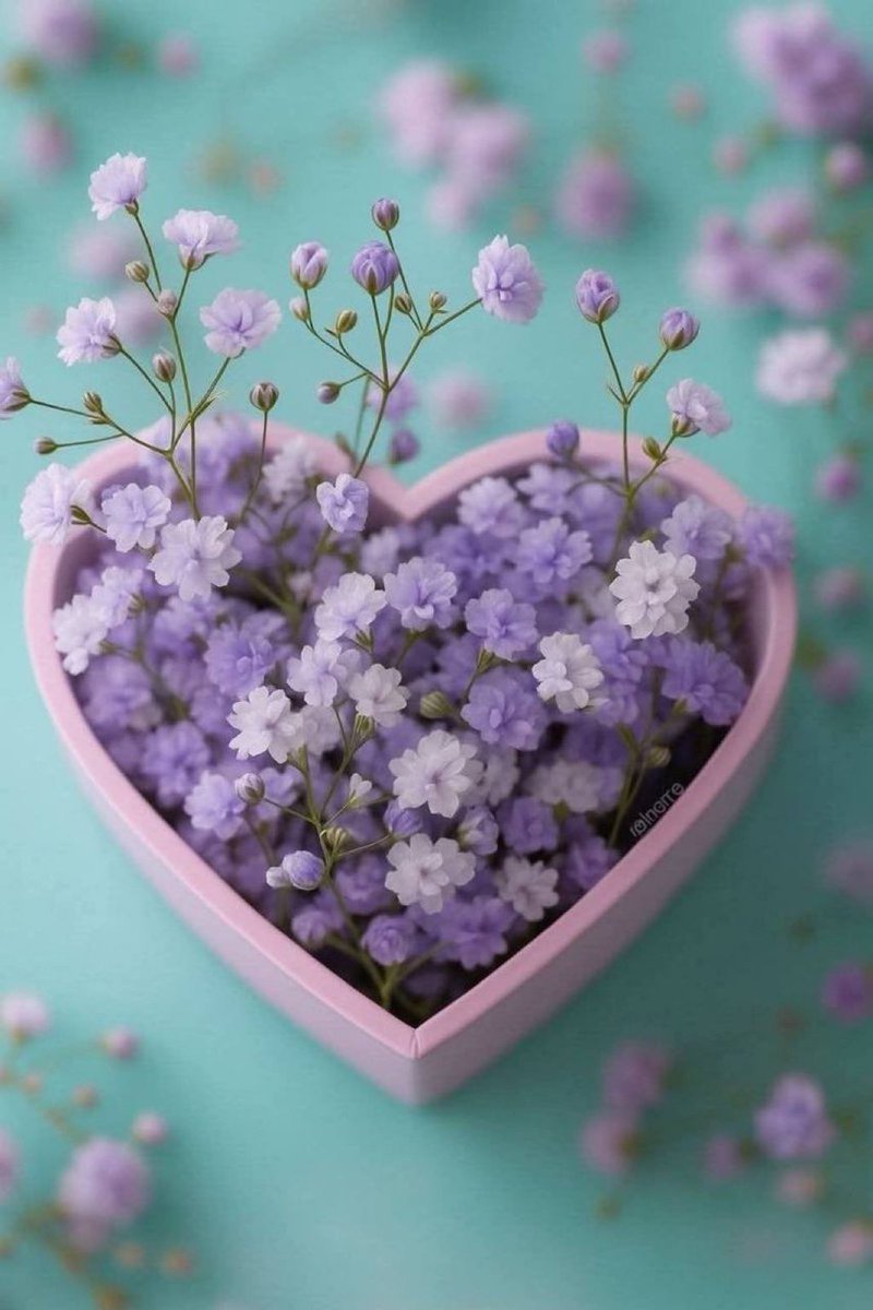 بـقـايـا حـلم 🥀 tweet media