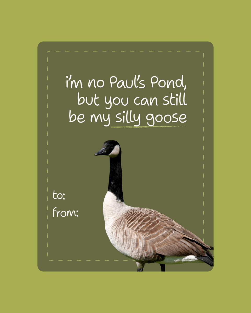 Friends University tweet media