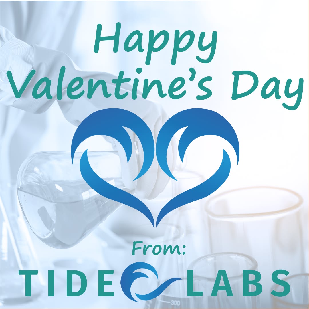 tide_labs's tweet photo. Happy Valentine's Day! 

We hope you get to share it with your loved ones! https://t.co/GtQ9VRJKUK