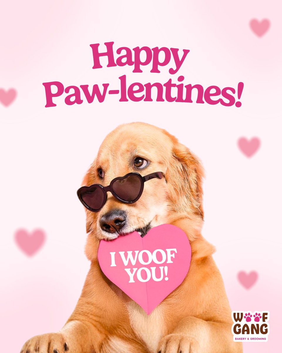 WoofGangBakery's tweet photo. Roses are red, treats are delish… spending Valentine’s Day with my furry soulmate just hits different💘🐾 Happy Paw-lentine’s Day!🐶💝 Who’s stealing your heart (and your couch spot) this Vday? Tell us below!💬

#pawlentinesday #mydogismyvalentine #woofgang #vday https://t.co/419Ig1JdyO