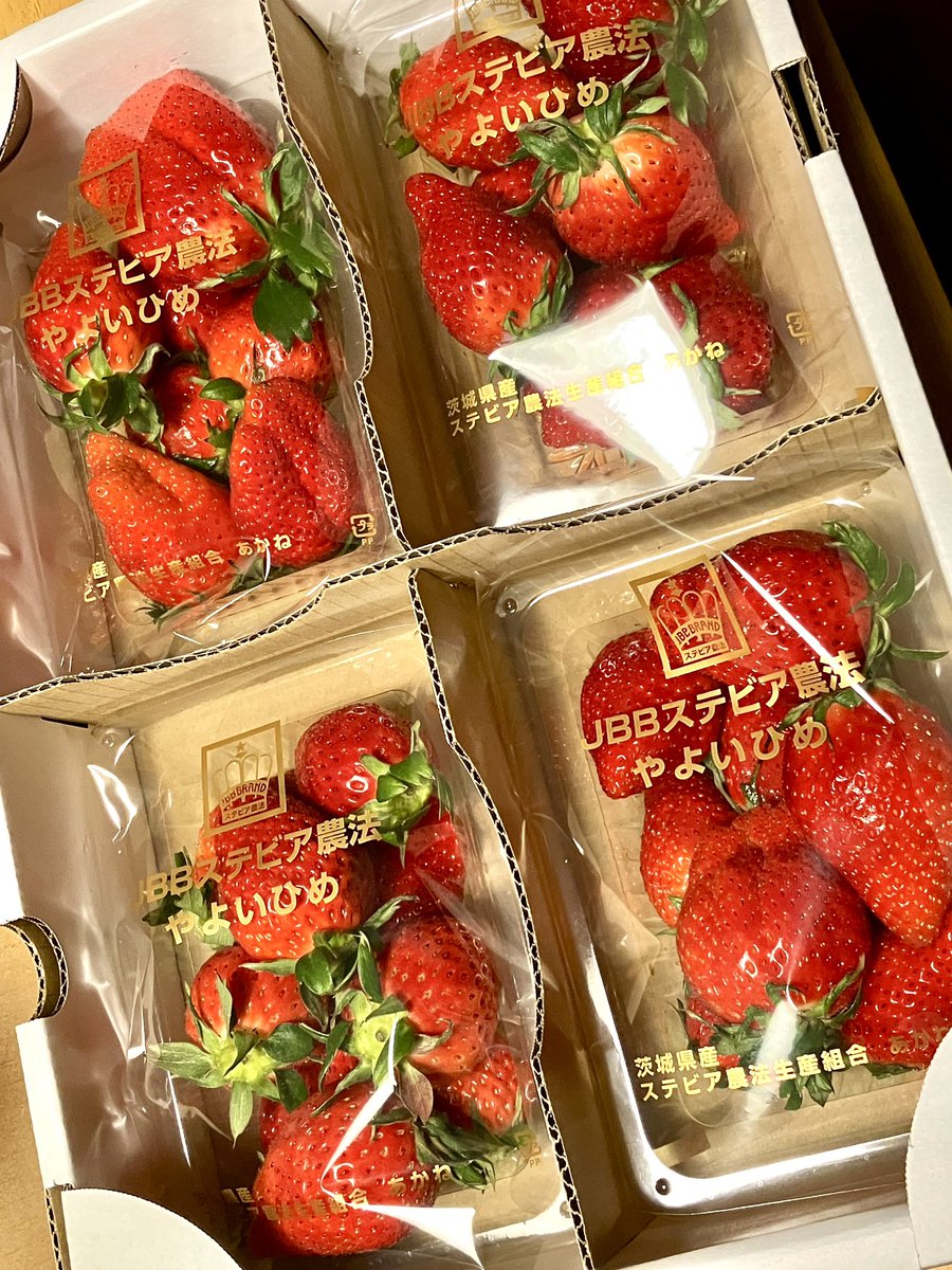 バレンタインの贈り物で凄く立派な苺を頂きました！！！🍓
香りが凄い！味が濃い！！甘い！！！今後の苺の基準がこれになると相当困っちゃう感じの苺でした！！ありがとうございます！！！