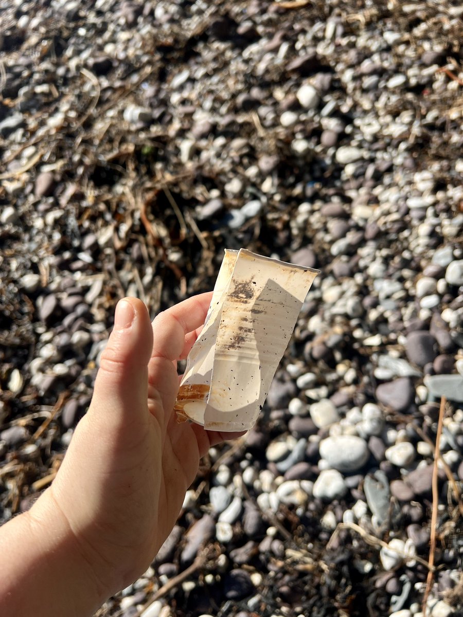 Me&ThePlasticSea tweet media