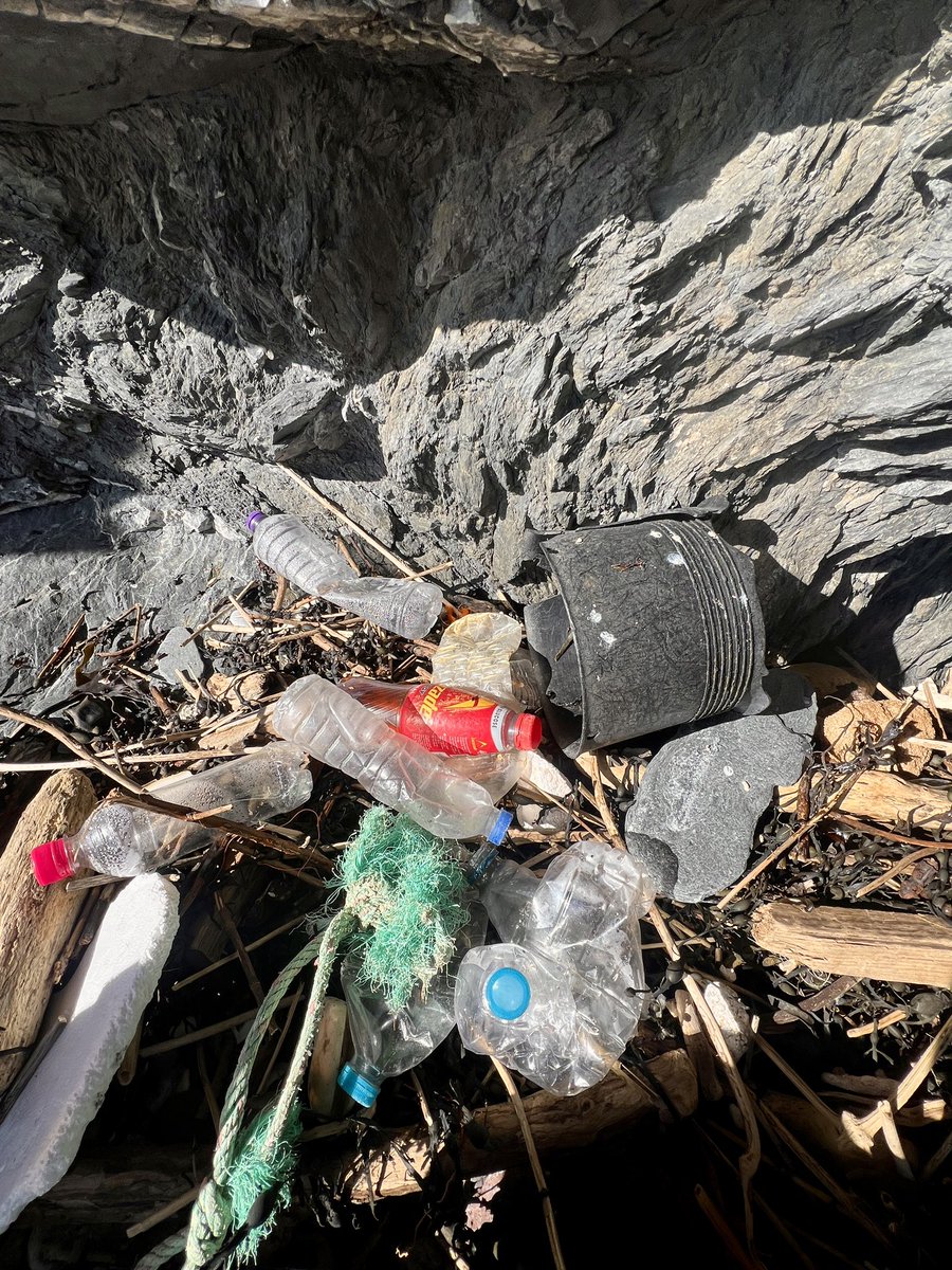 Me&ThePlasticSea tweet media