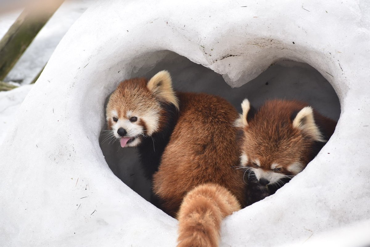 i decided to be a pander channel now