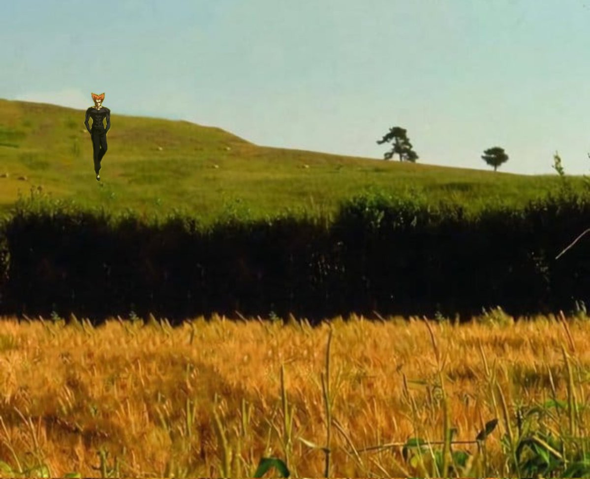 Fredbbearr (@fredbbearr) on Twitter photo 