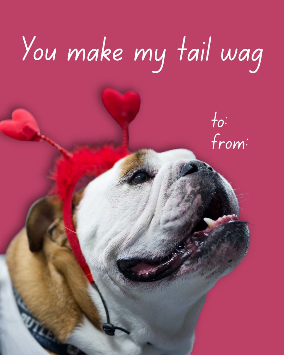 Butler Blue IV tweet media