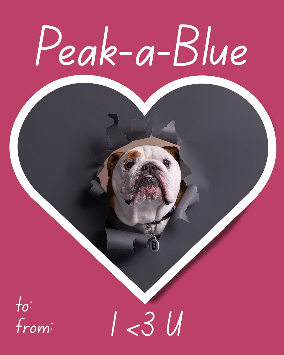 Butler Blue IV tweet media