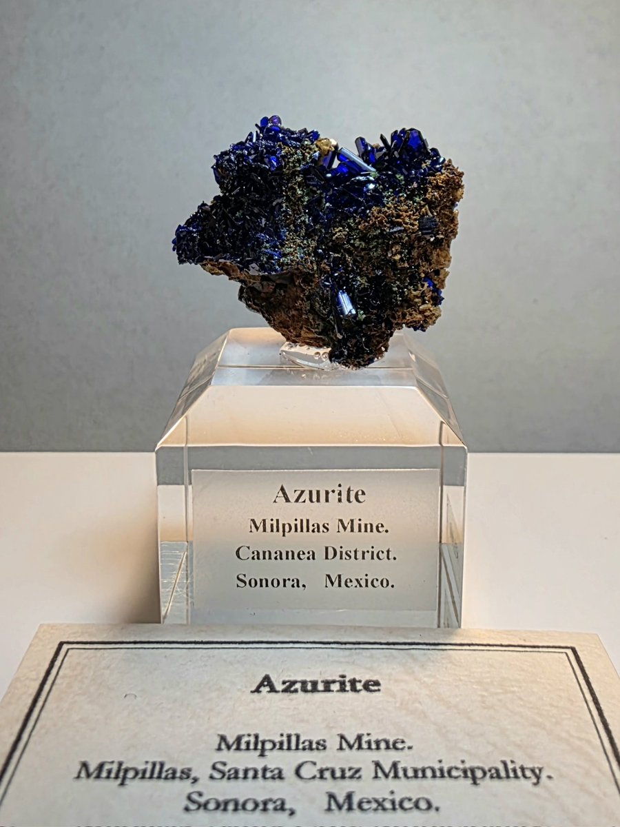 クロネコ tweet media