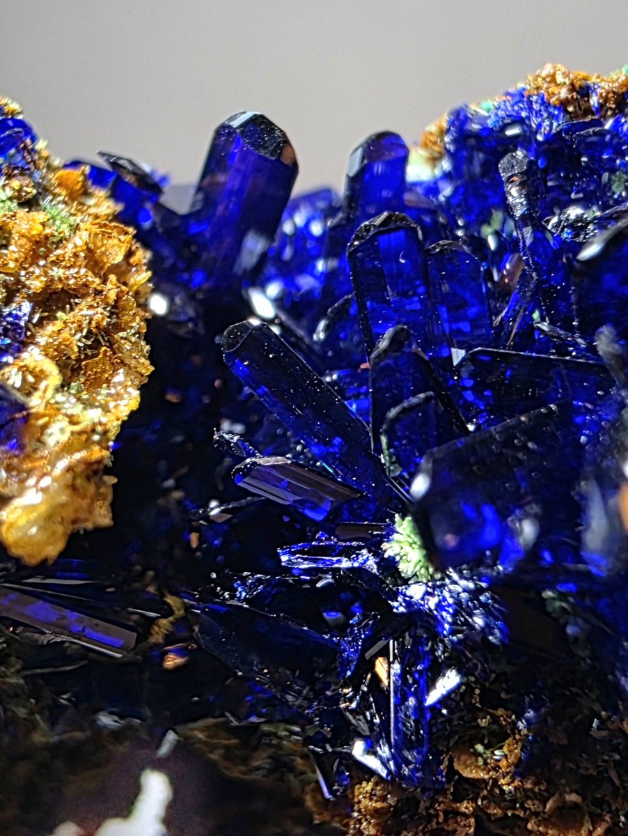 クロネコ tweet media