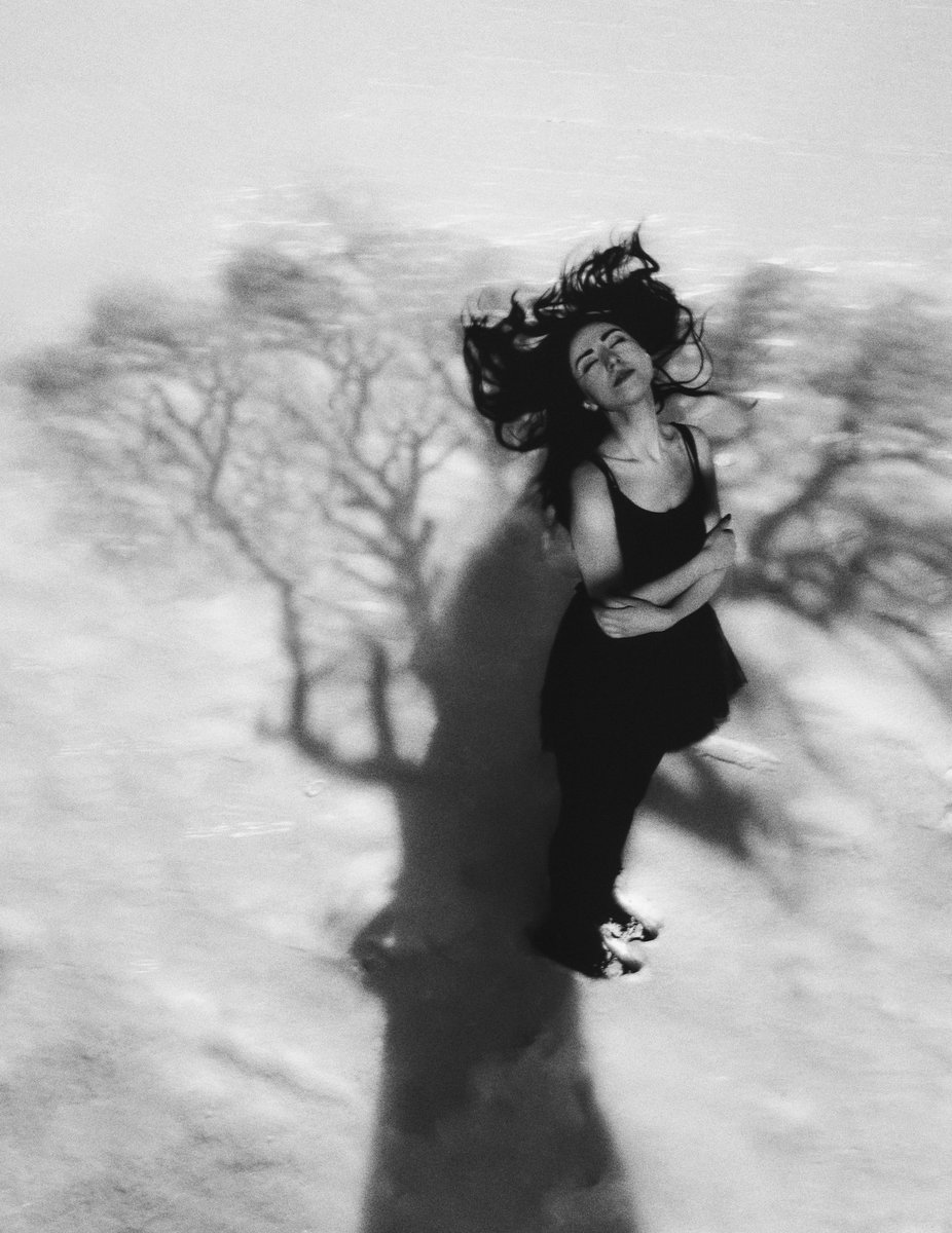 .Kitsu.Sun tweet media