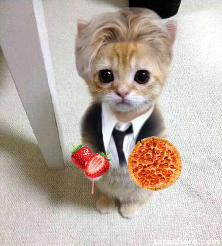 imalsofoive's tweet photo. @btarrys Here's some treats for your service🫶 https://t.co/vbzQJZjUrm
