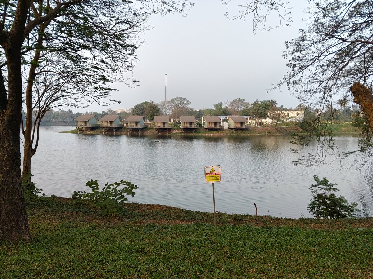 CryptoNinja tweet media