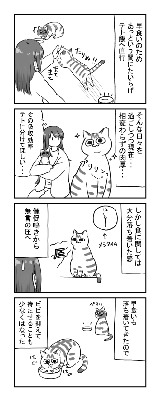 solxtet's tweet photo. 😺 https://t.co/ggSyO3R69y