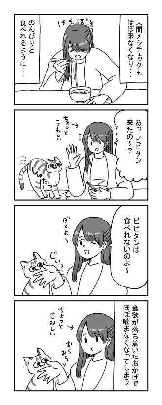 solxtet's tweet photo. 😺 https://t.co/ggSyO3R69y