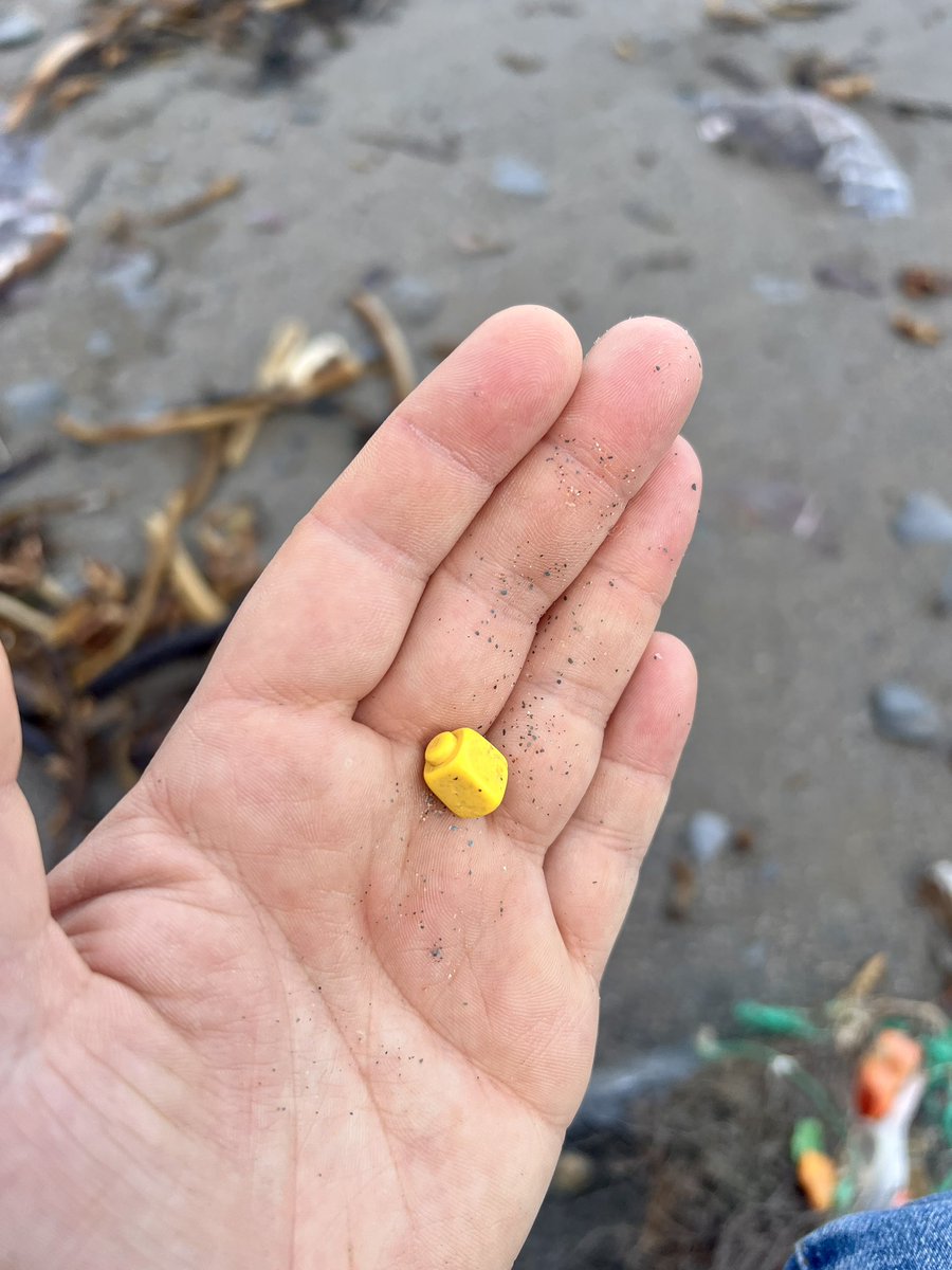 Me&ThePlasticSea tweet media